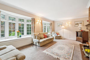 Photo 10- click for photo gallery